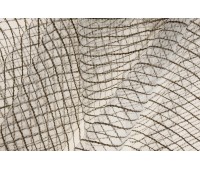 Titulo 86 Velada Caviar Titulo 86 Velada Caviar