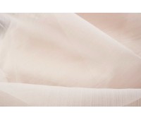 Titulo 89 Velasco Abalone Titulo 89 Velasco Abalone