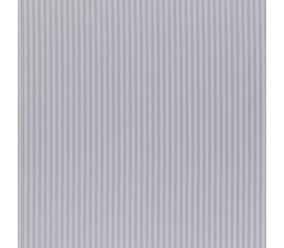 Slate Silver