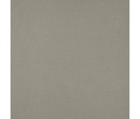 384 Simple 11 Illusive Chinchilla 384 Simple 11 Illusive Chinchilla