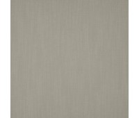 384 Simple 44 Simple Funghi 384 Simple 44 Simple Funghi