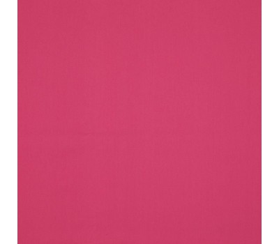 Colorful Magenta