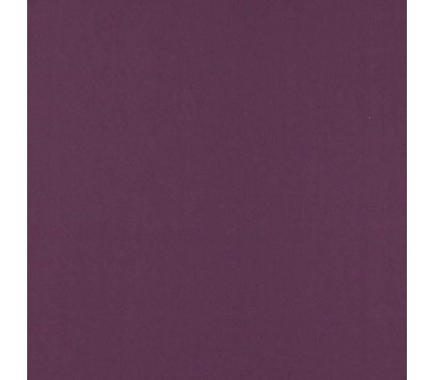 Colorful Plum