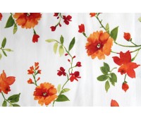 Azov Lorelei C 07 Azov Lorelei C 07