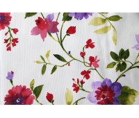 Azov Lorelei C 21 Azov Lorelei C 21