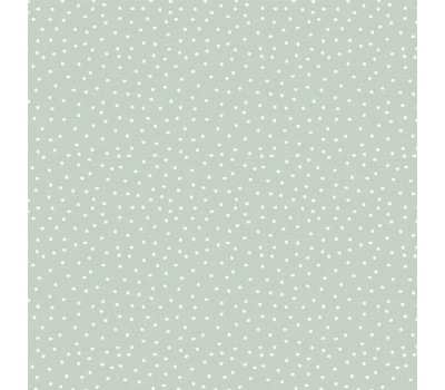 Spotty Duckegg