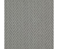 385 Jamrock 17 Phaser Elephant 385 Jamrock 17 Phaser Elephant