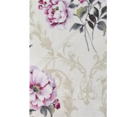 Cotonelo Dynasty A 25 Cotonelo Dynasty A 25