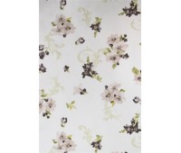 Cotonelo Dynasty C 05 Cotonelo Dynasty C 05