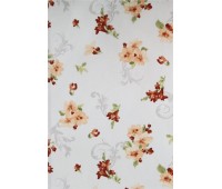 Cotonelo Dynasty C 07 Cotonelo Dynasty C 07