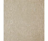 329 Veronne 8 Aime Whisper 329 Veronne 8 Aime Whisper