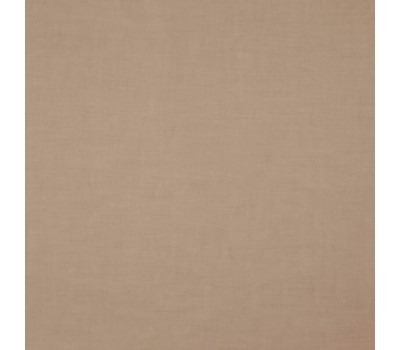Feather Stucco