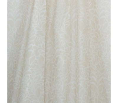 Aster Olive