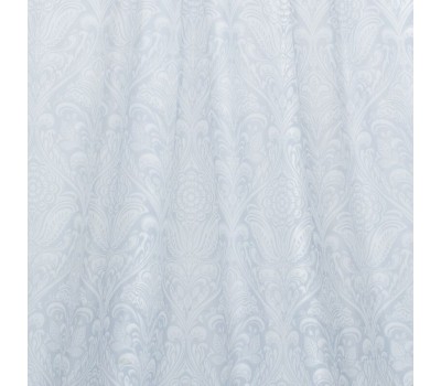 Astilba Aqua