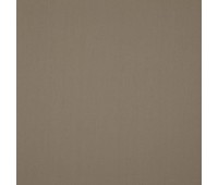 334 18 Colorful Fossil 334 18 Colorful Fossil