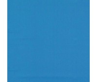 334 2 Colorful Aster 334 2 Colorful Aster