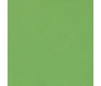 334 25 Colorful Kiwi 334 25 Colorful Kiwi