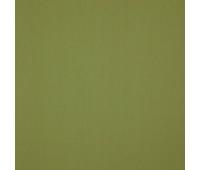 334 30 Colorful Moss 334 30 Colorful Moss