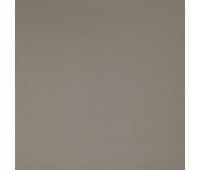 334 31 Colorful Mushroom 334 31 Colorful Mushroom