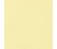 334 40 Colorful Pineapple 334 40 Colorful Pineapple