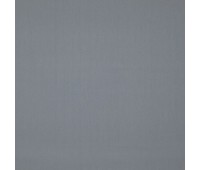 334 53 Colorful Shark 334 53 Colorful Shark