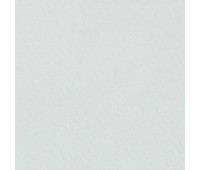 334 54 Colorful Silver 334 54 Colorful Silver