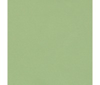 334 60 Colorful Tea 334 60 Colorful Tea