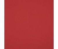 334 62 Colorful Tomato 334 62 Colorful Tomato