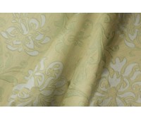 Segovia 1 Gergal Asparagus Segovia 1 Gergal Asparagus