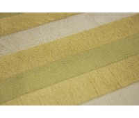 Segovia 11 Saldana Asparagus Segovia 11 Saldana Asparagus