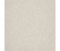 Cosmos 17 Essence Champagne Cosmos 17 Essence Champagne