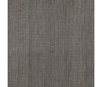 Cosmos 39 Radial Bronze Cosmos 39 Radial Bronze