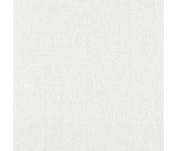 Cosmos 4 Asteroid Snow Cosmos 4 Asteroid Snow