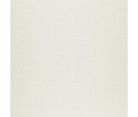 Cosmos 42 Scope Pure Cosmos 42 Scope Pure