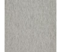 Cosmos 55 Starry Mist Cosmos 55 Starry Mist