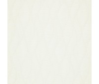 Cosmos 56 Starry Pure Cosmos 56 Starry Pure