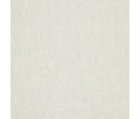 Cosmos 58 Starry Whisper Cosmos 58 Starry Whisper