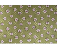 Montpelier 5 Montpelier 5