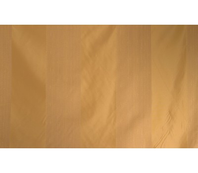 DIANA 11