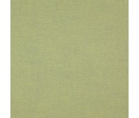 331 Cashmere 34 Cottony Fern 331 Cashmere 34 Cottony Fern