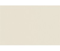 Canvas 3787 Creme White