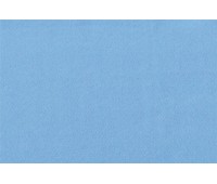 Sapphire Morris 14 Sapphire Morris 14