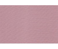 Alcor 23 Tea Rose Alcor 23 Tea Rose