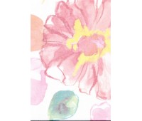 Aquarelle Corall Aquarelle Corall