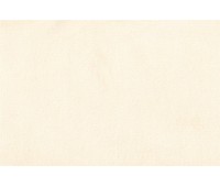 Astra 5260 Champagne Astra 5260 Champagne