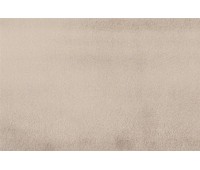 Astra 5273 Fosil Astra 5273 Fosil