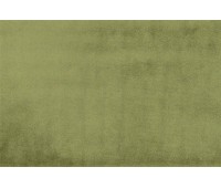 Astra 5283 Grass Astra 5283 Grass