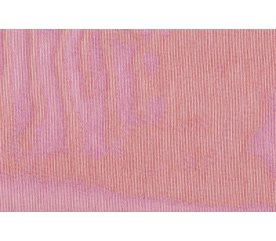 Ткань Bora 038 Bordo на отрез Ткань Bora 038 Bordo на отрез