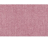 Norway Rose Norway Rose