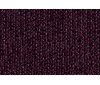 Norway Violet Norway Violet